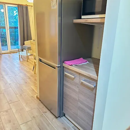 Appartament Karja 26a/10 شقة